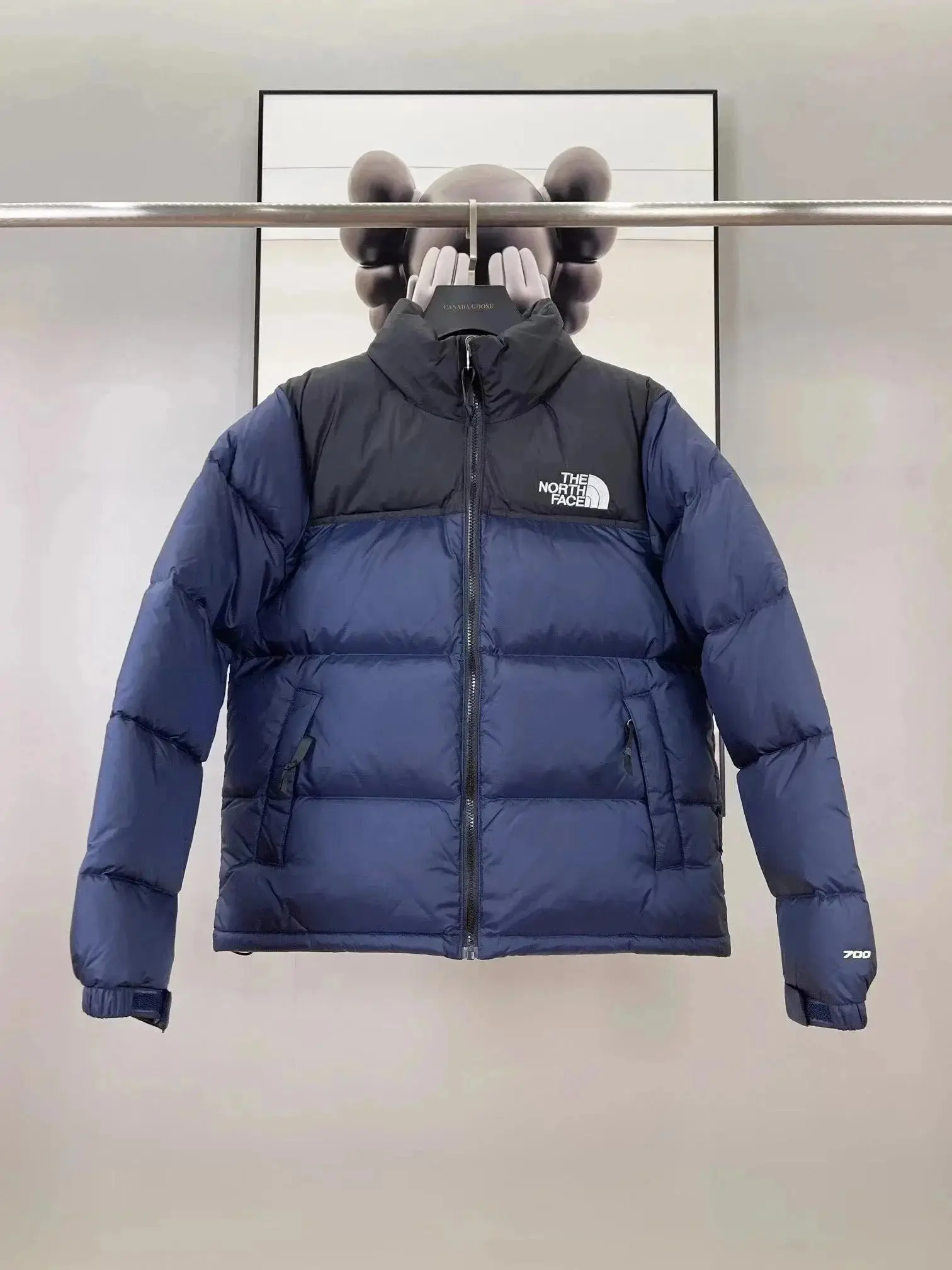 The North Face Down Jacket 4