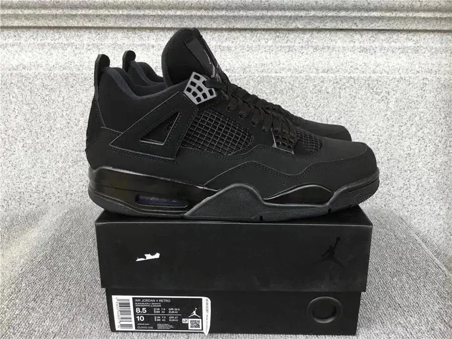 Air Jordan 4 Sneakers 2