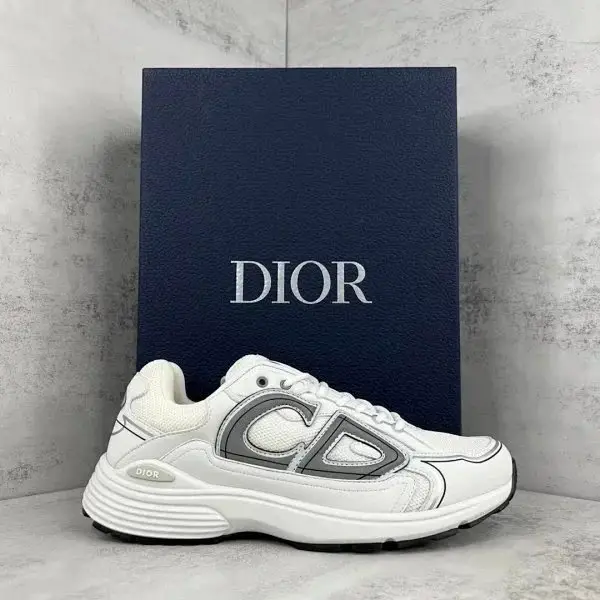 Dior B22 Sneakers 6