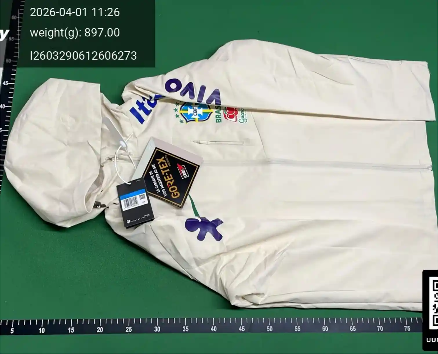 Arc Teryx Shorts 2