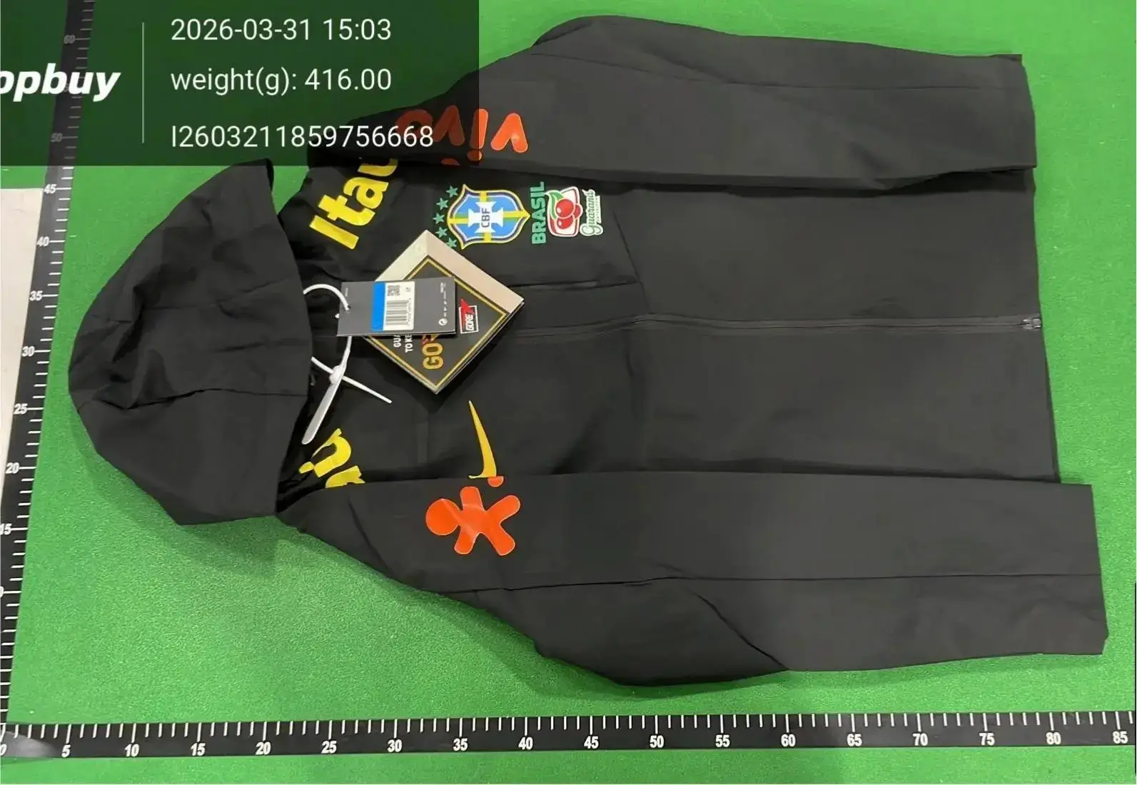 Arc Teryx Shorts 3