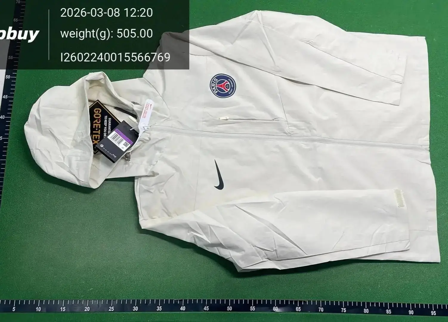 Arc Teryx Shorts 5