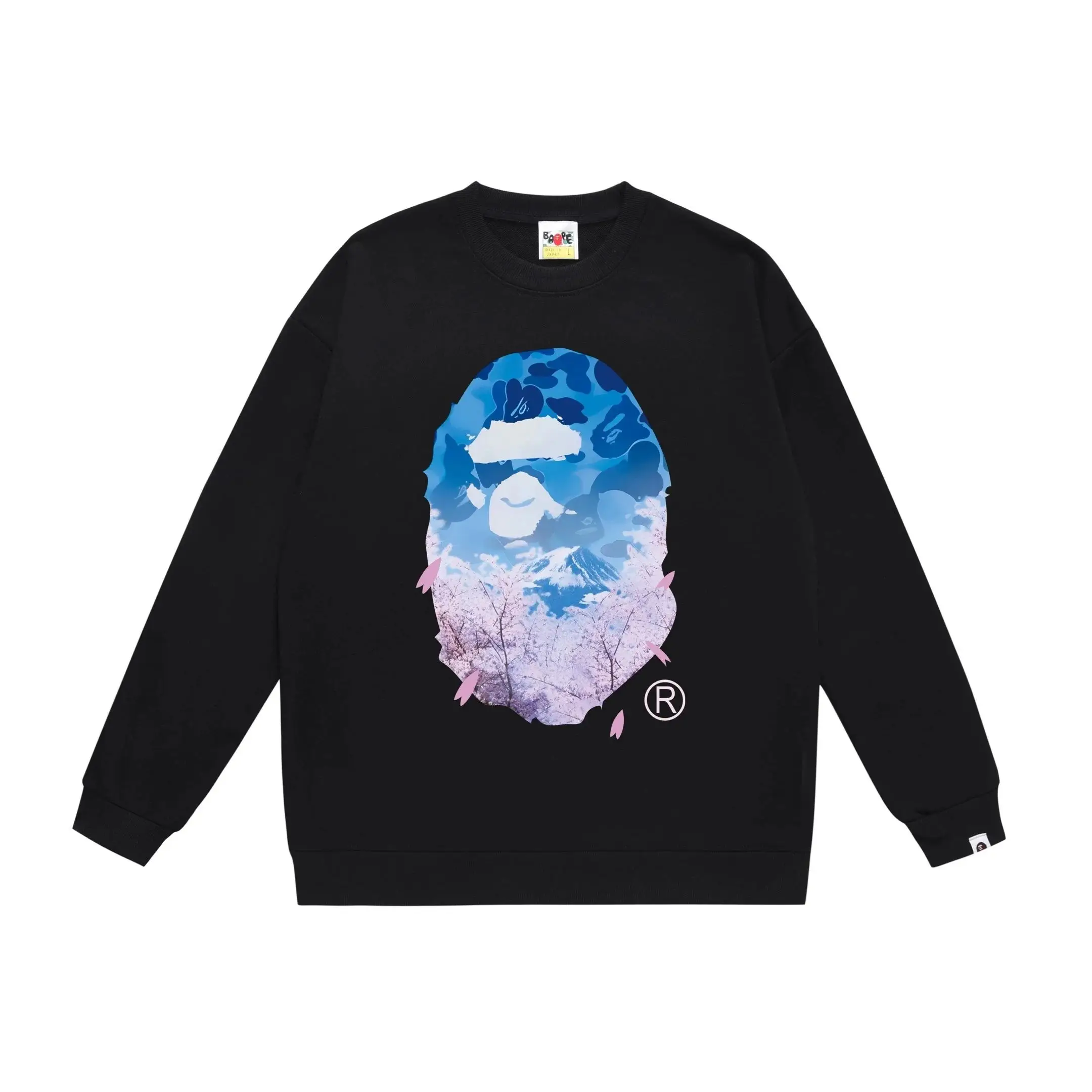 A Bathing Ape Hoodie 7