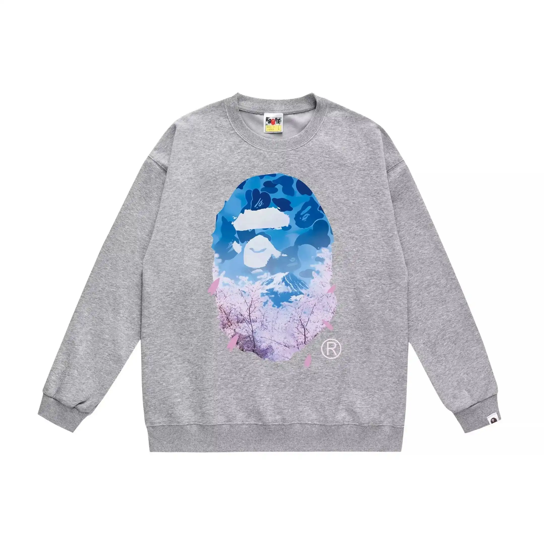 A Bathing Ape Hoodie 9